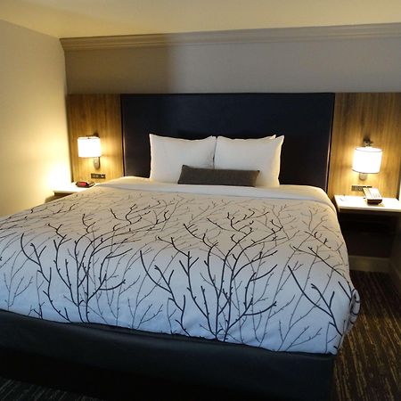 Best Western Premier Denver East Szoba fotó
