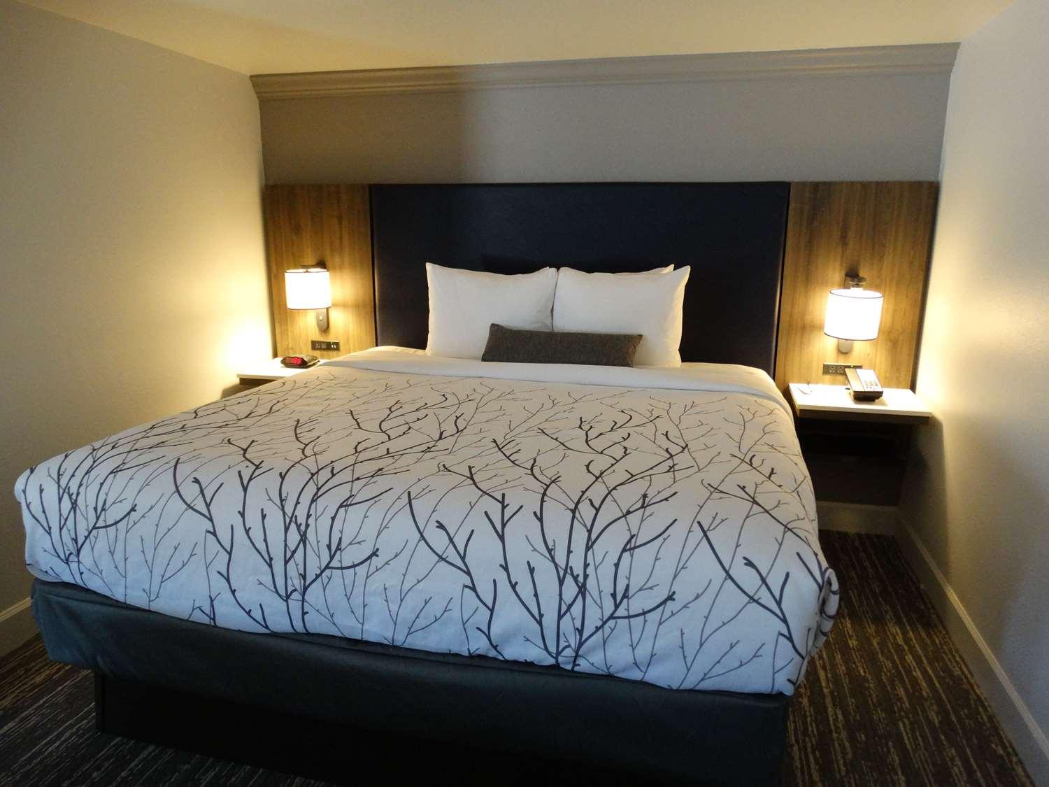 Best Western Premier Denver East Szoba fotó
